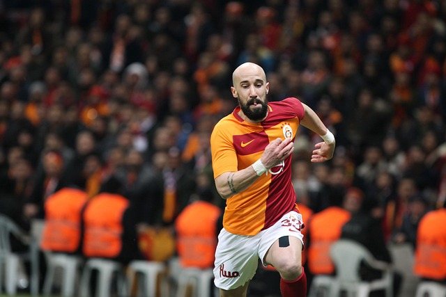 使用一些不 使用一些不